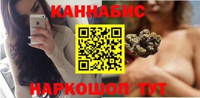 индика Шебекино