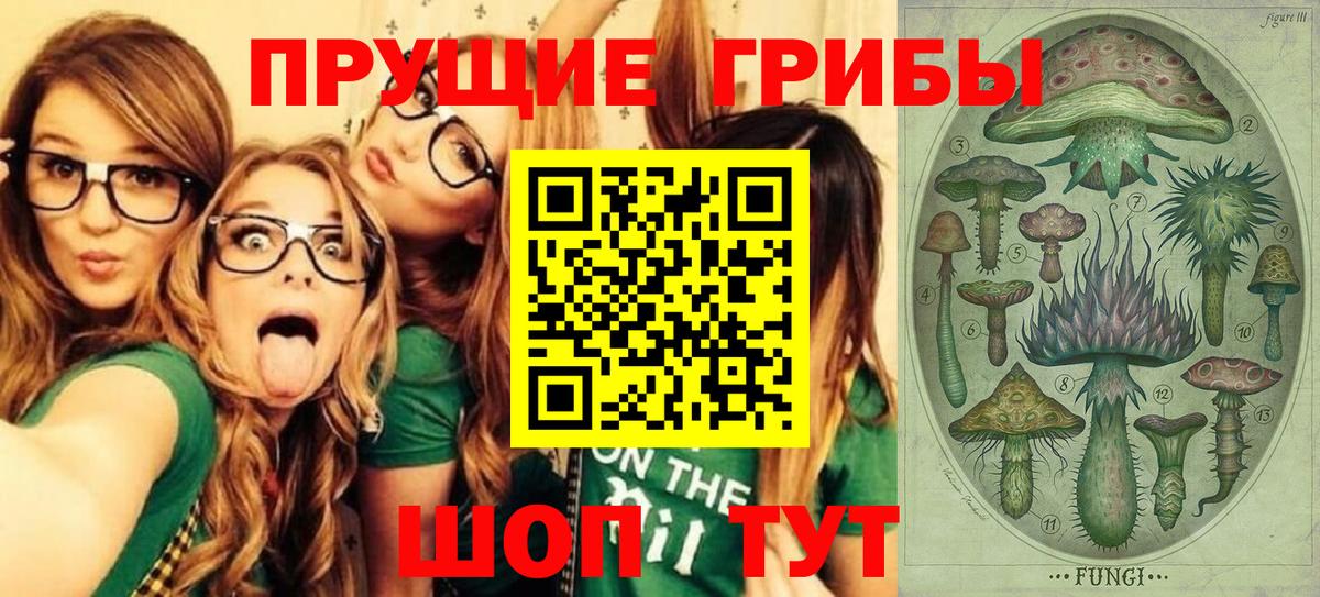Галлюциногенные грибы ЛСД  хочу наркоту  Вход с VPN  Каменск-Шахтинский  Псилоцибиновые грибы GOLDEN TEACHER 